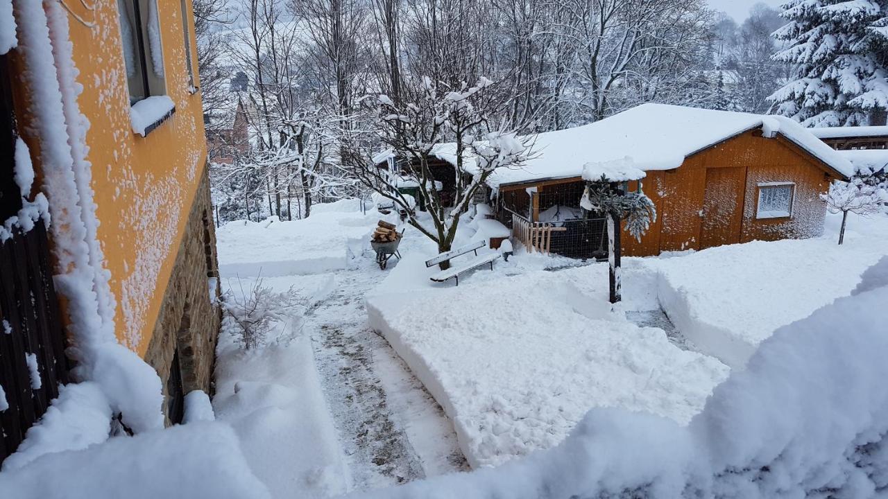 Waldhufenidyll Koenigswalde Im Erzgebirge Apartment Konigswalde Luaran gambar