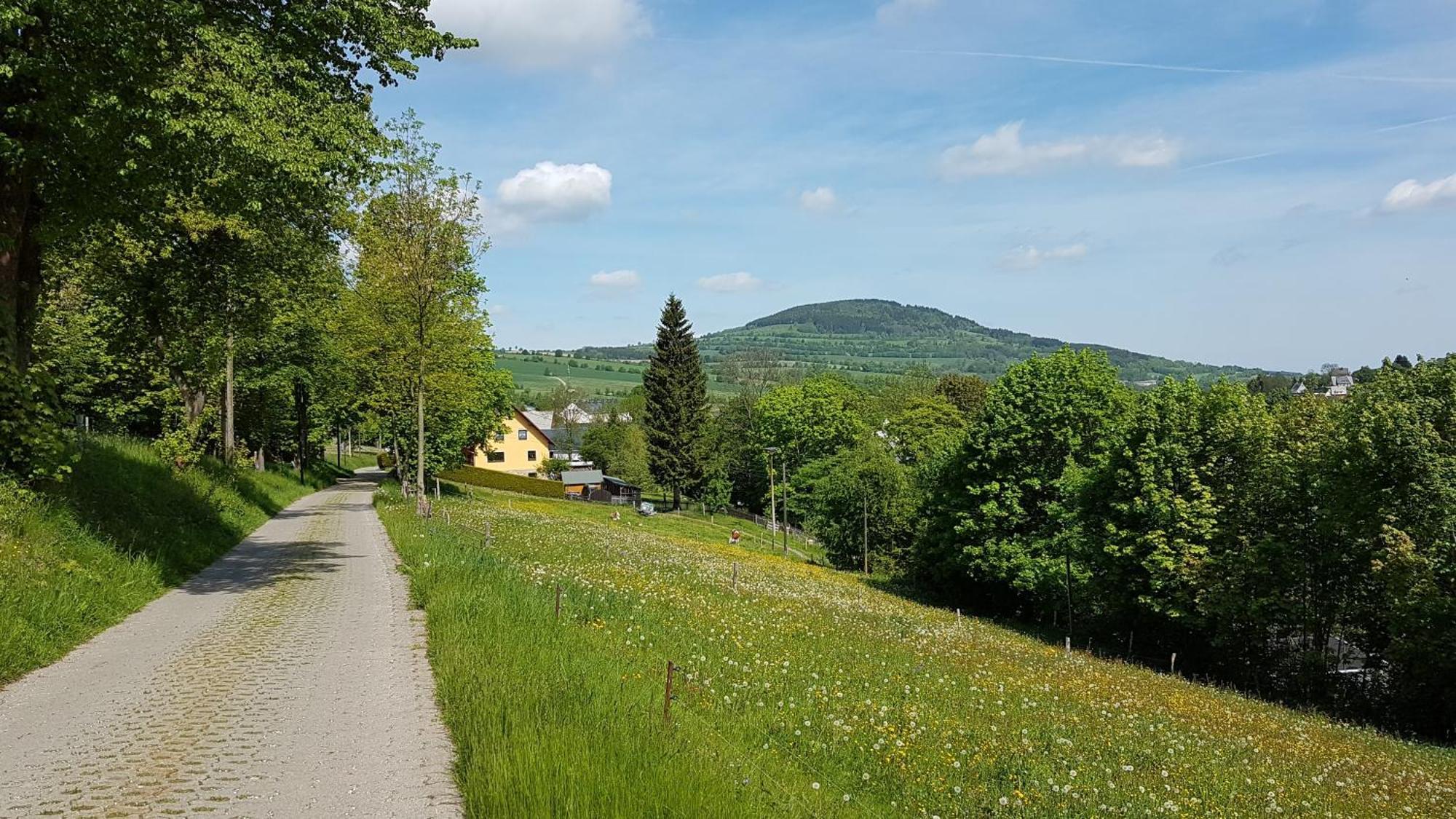 Waldhufenidyll Koenigswalde Im Erzgebirge Apartment Konigswalde Luaran gambar
